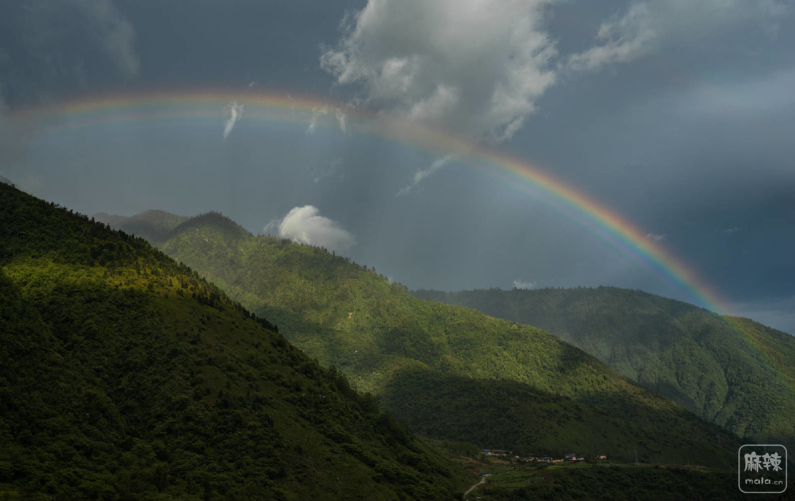 “_DSC2861”为智能对象-1.jpg