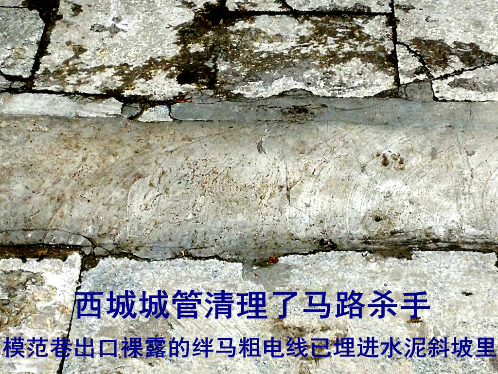 IMG_20190617_160347_副本.jpg