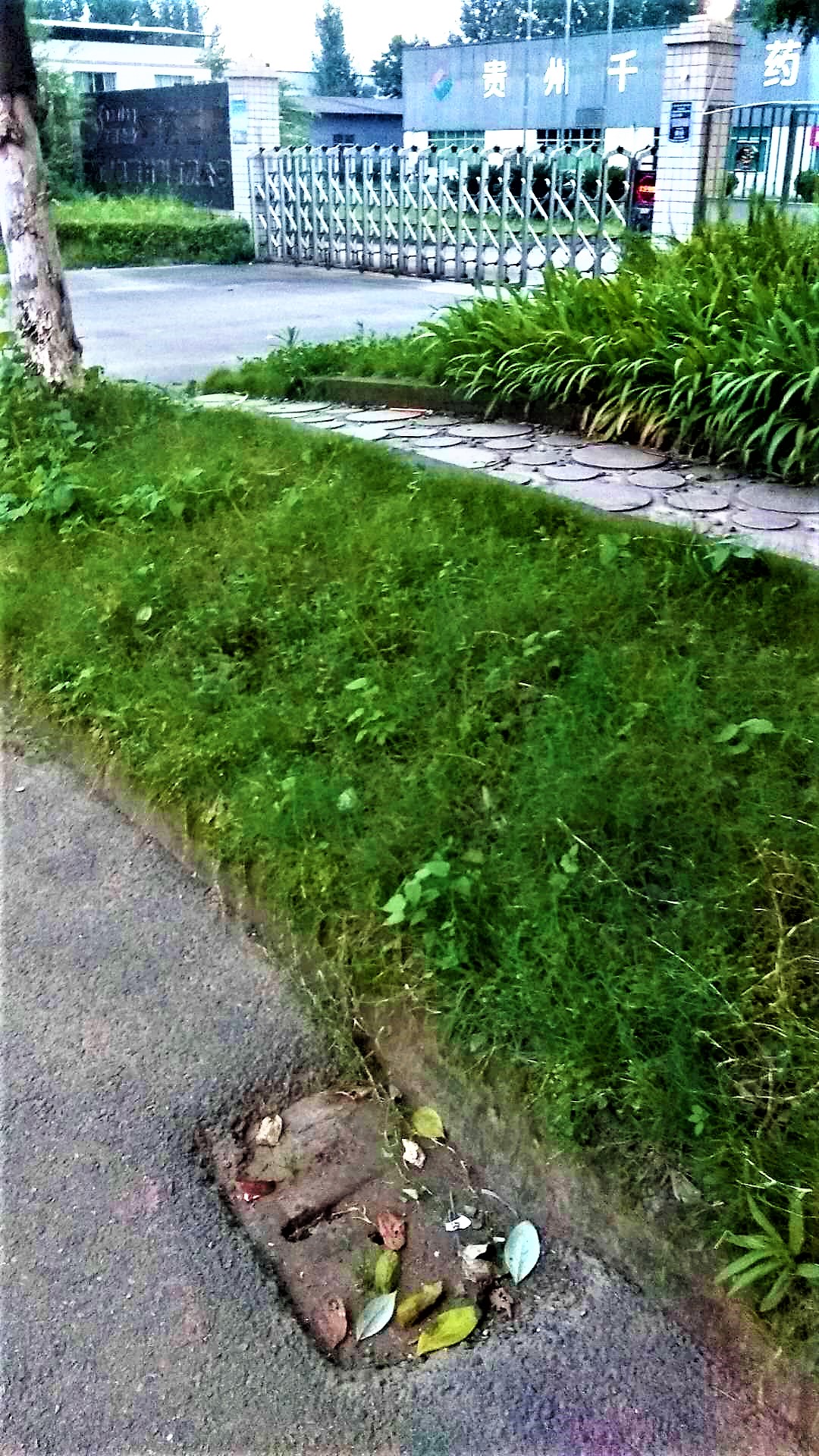 ΢ͼƬ_20190623232420.jpg