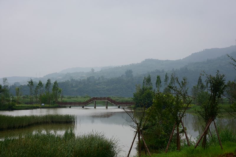 图苍溪梨仙湖湿地公园