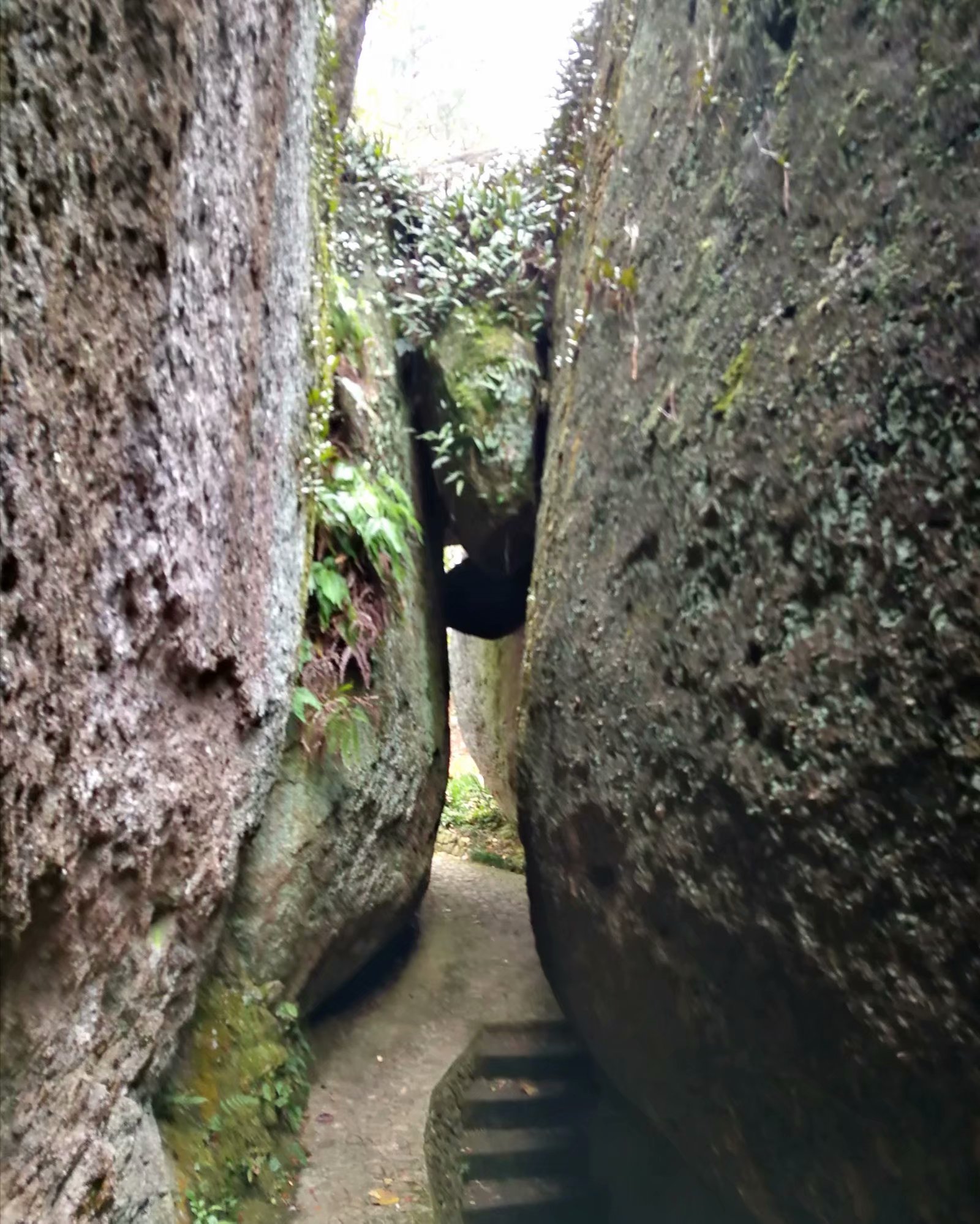 仙都黄龙山景区图片