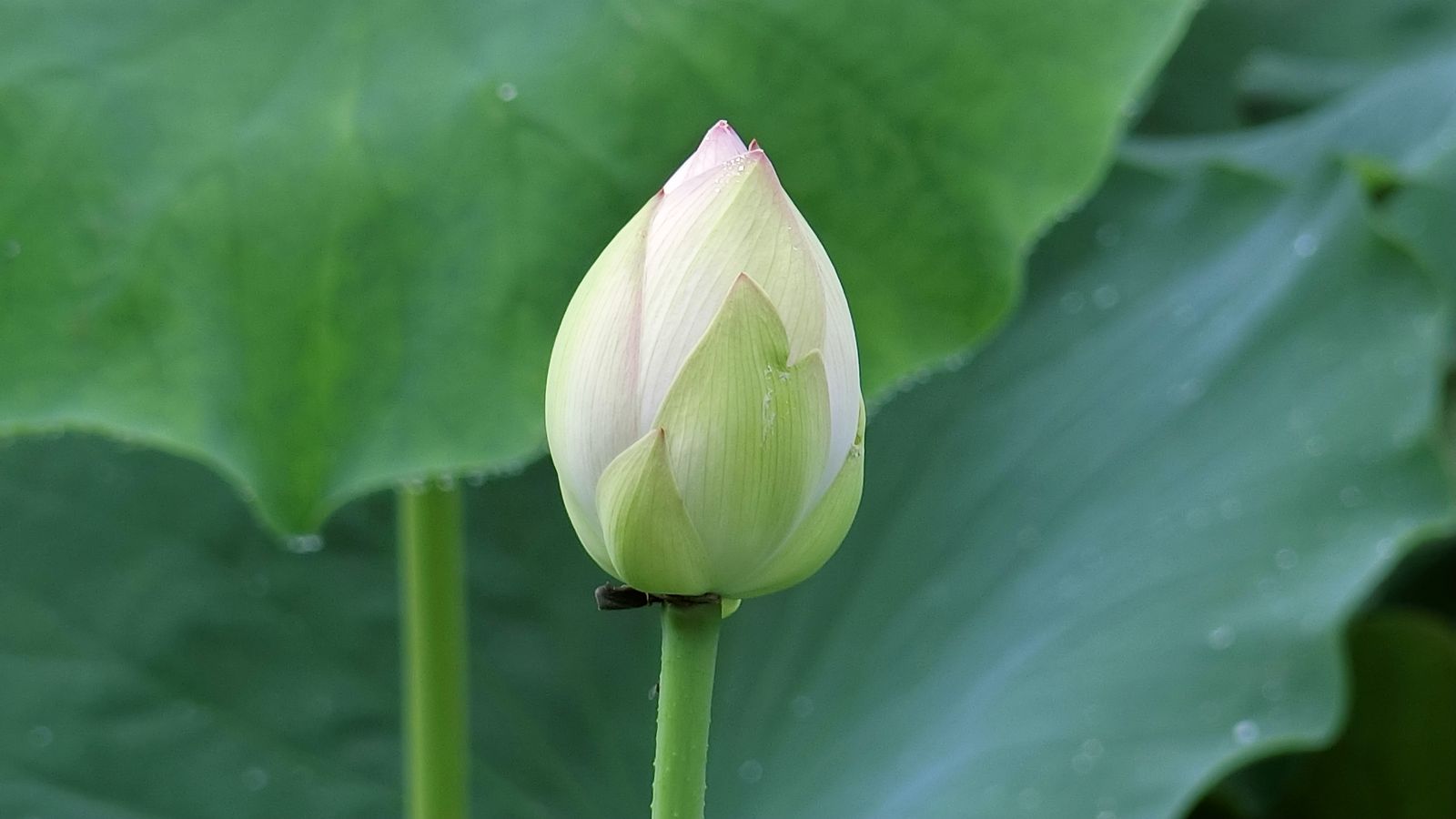 CIMG5854_副本.jpg