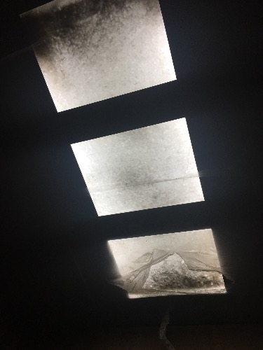 048ED894-A6BC-4A36-99E4-787FDD009E45.jpeg