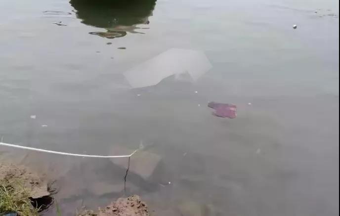 ΢ͼƬ_20190707212519.jpg