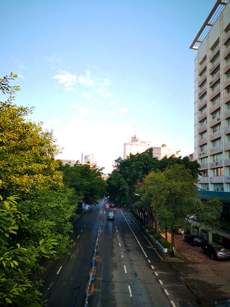IMG_20190709_071604.jpg