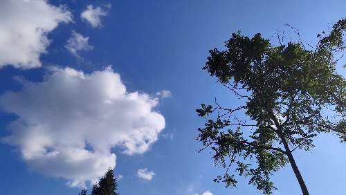 IMG_20190709_173448.jpg