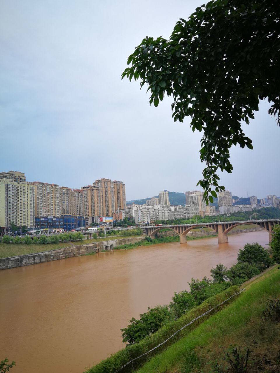 雨后巴河-巴中论坛-麻辣社区 四川第一网络社区 你的言论 影响四川