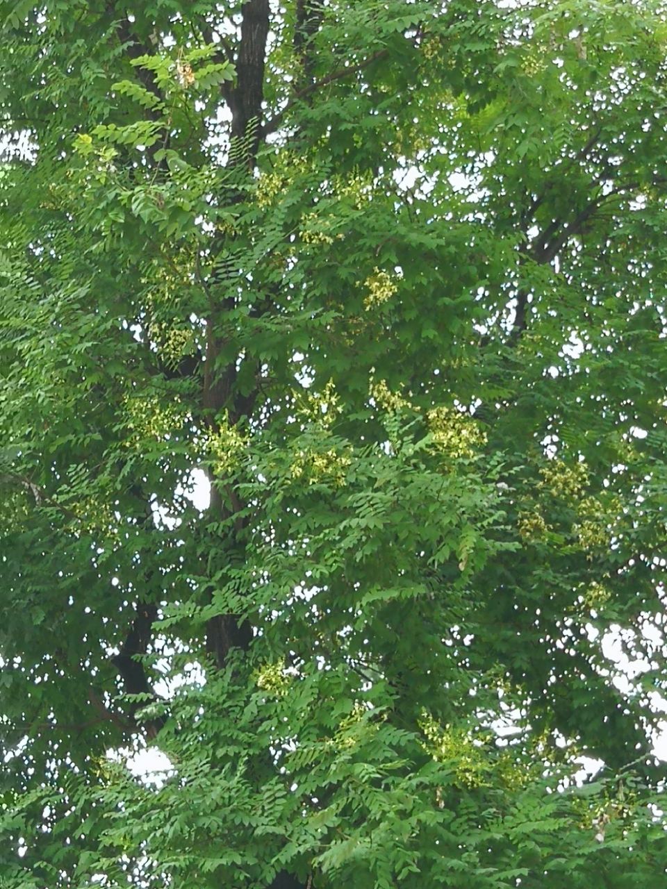 20190712_619982_1562900483165.jpg