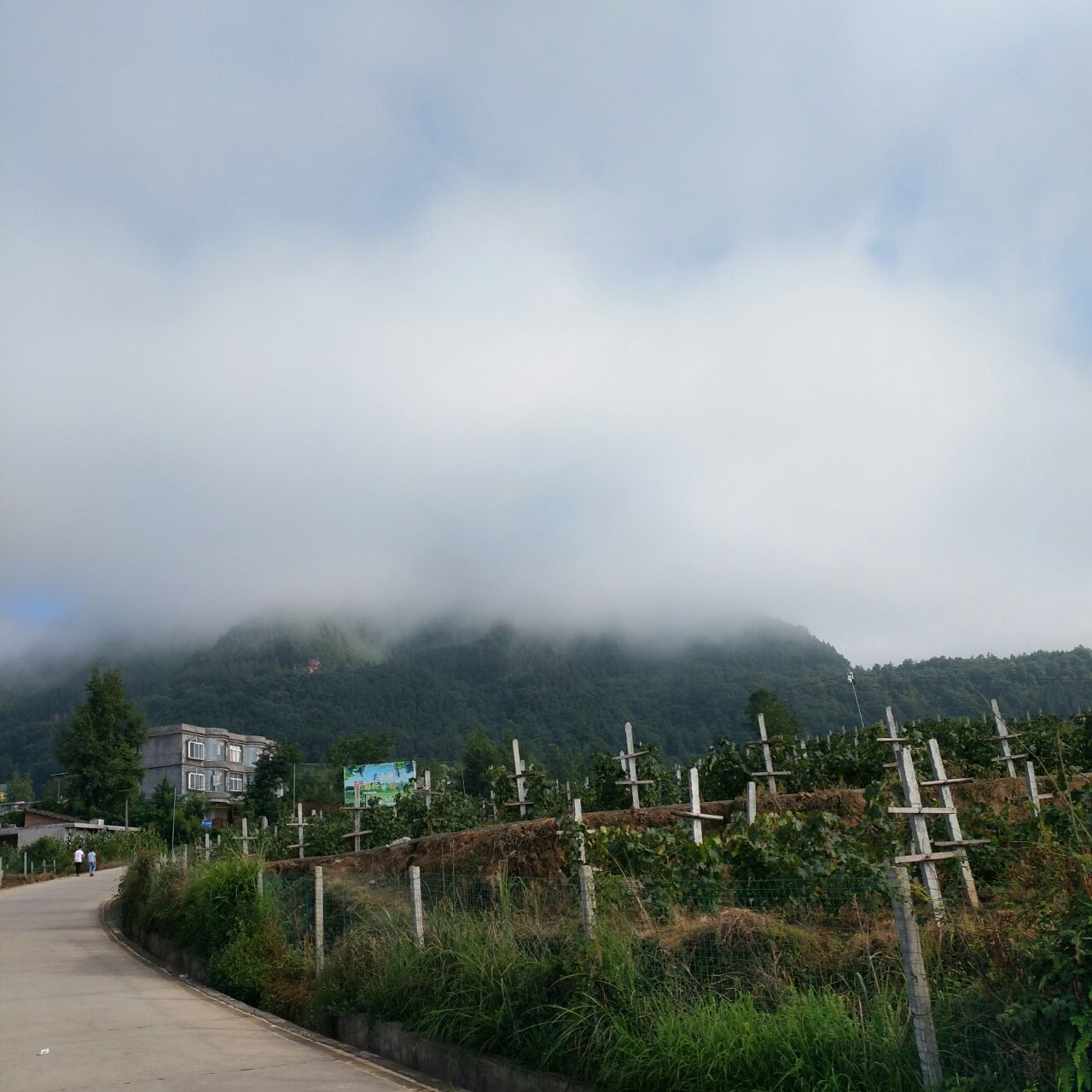 20190713_740347_1562982344285.jpg