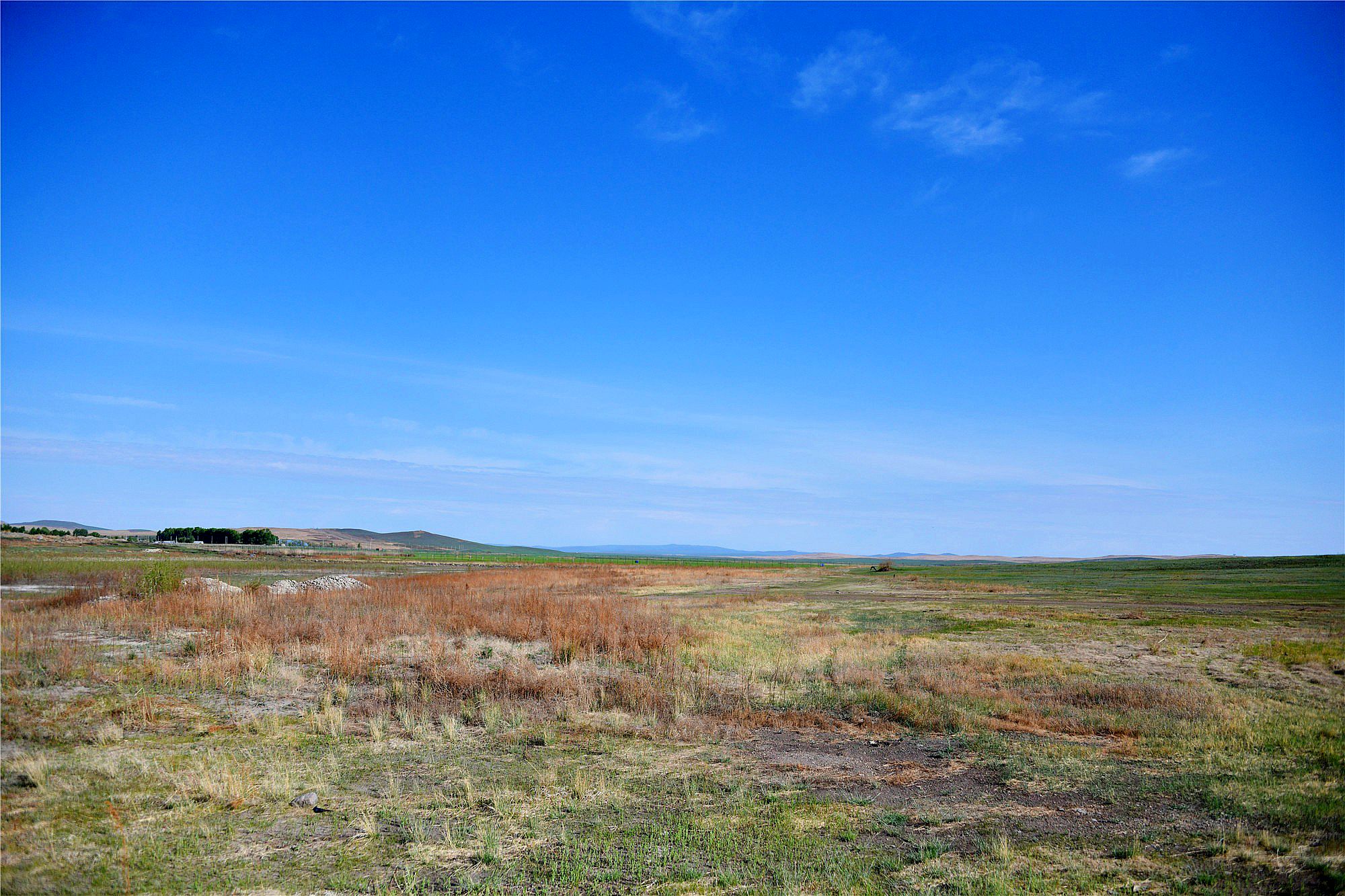 DSC_3403_conew1.JPG
