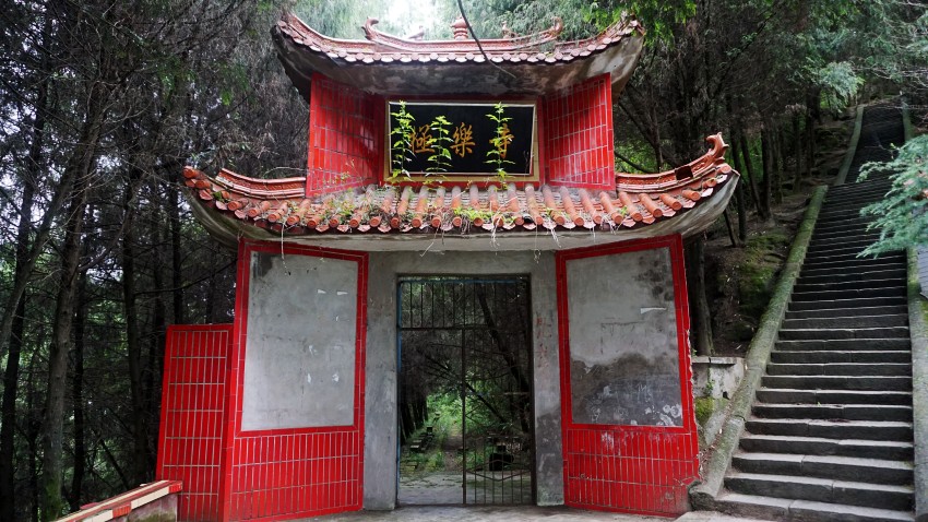 DSC07209_conew1.jpg