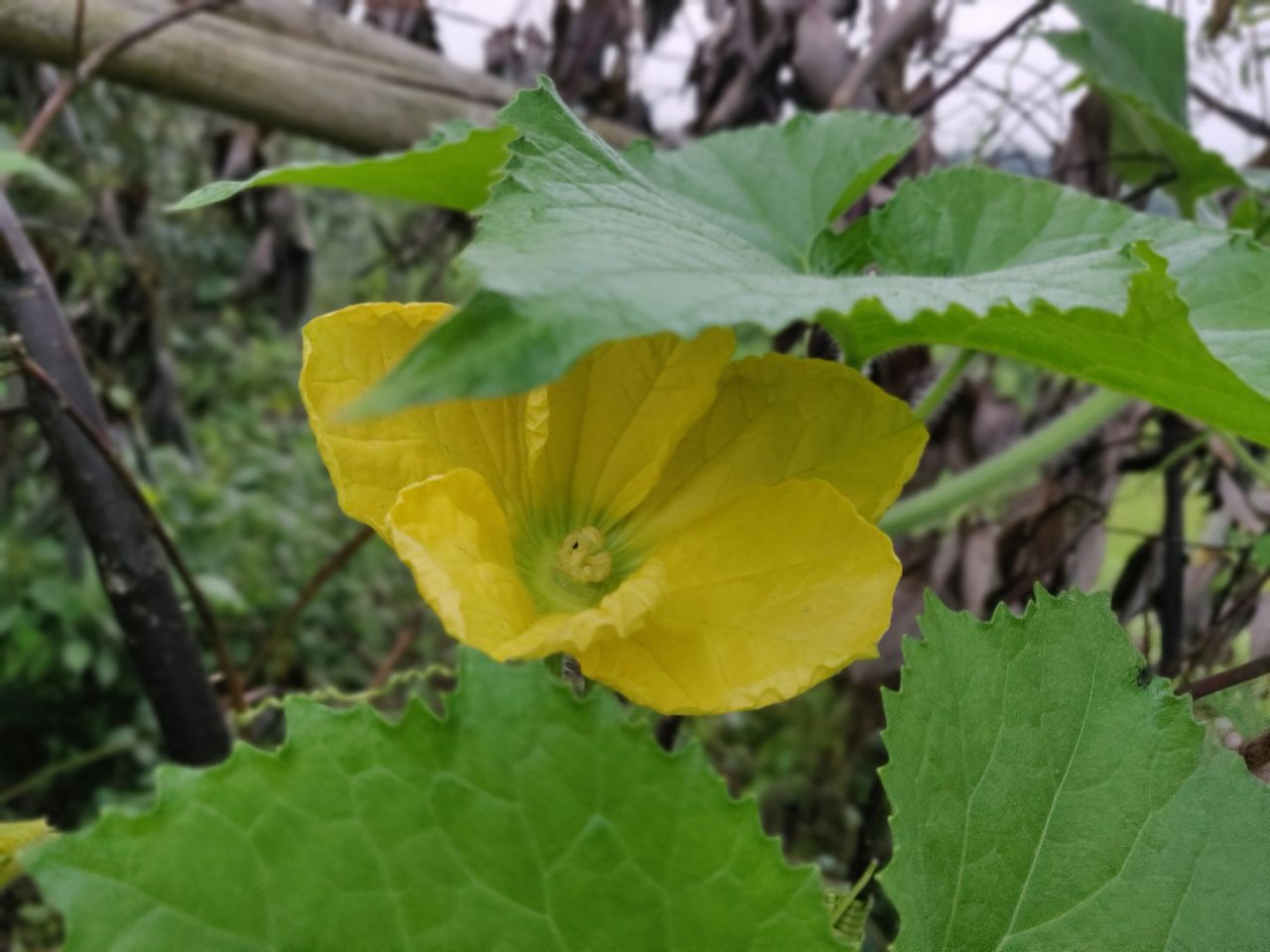 20190715_1348414_1563201320622.jpg