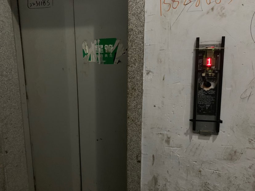 195524x4n656s4115p9gk4.jpeg