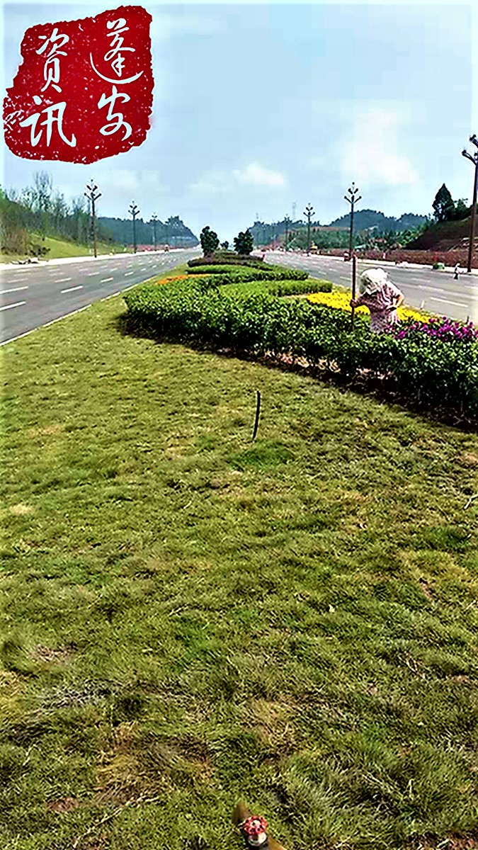 ΢ͼƬ_20190726144104.jpg