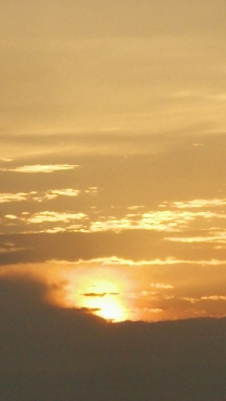20190730_6080161_1564487825628.jpg