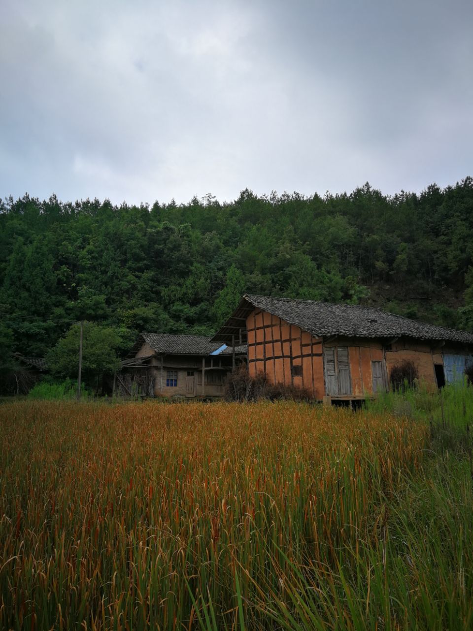 20190801_619982_1564625816179.jpg