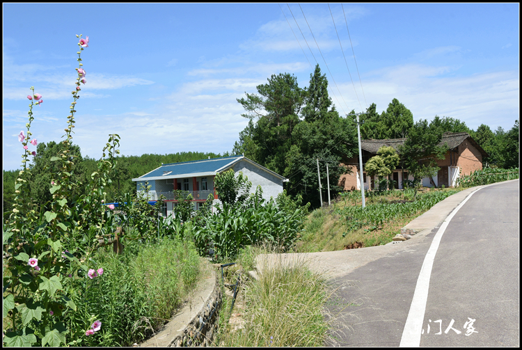 苍溪五龙三会村村乡美景图