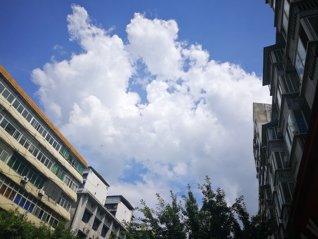 IMG_20190804_150342_副本.jpg