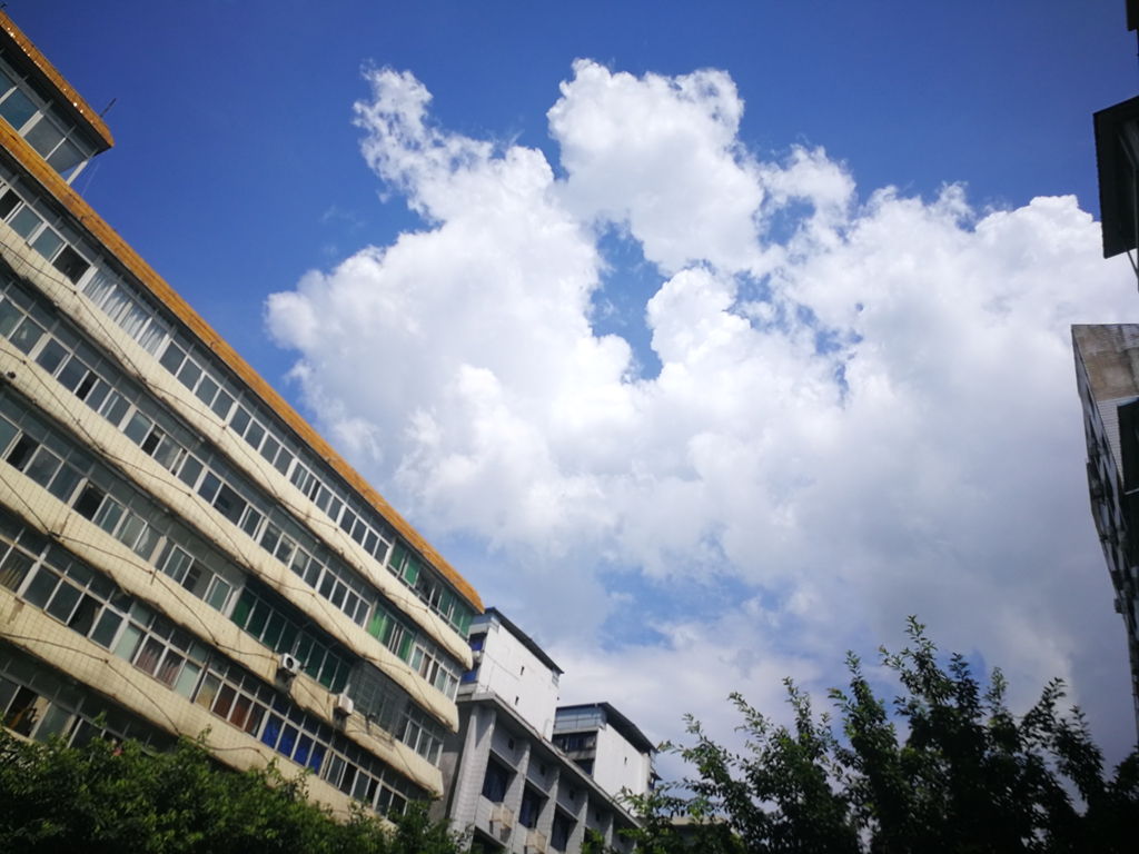 IMG_20190804_150418_副本.jpg