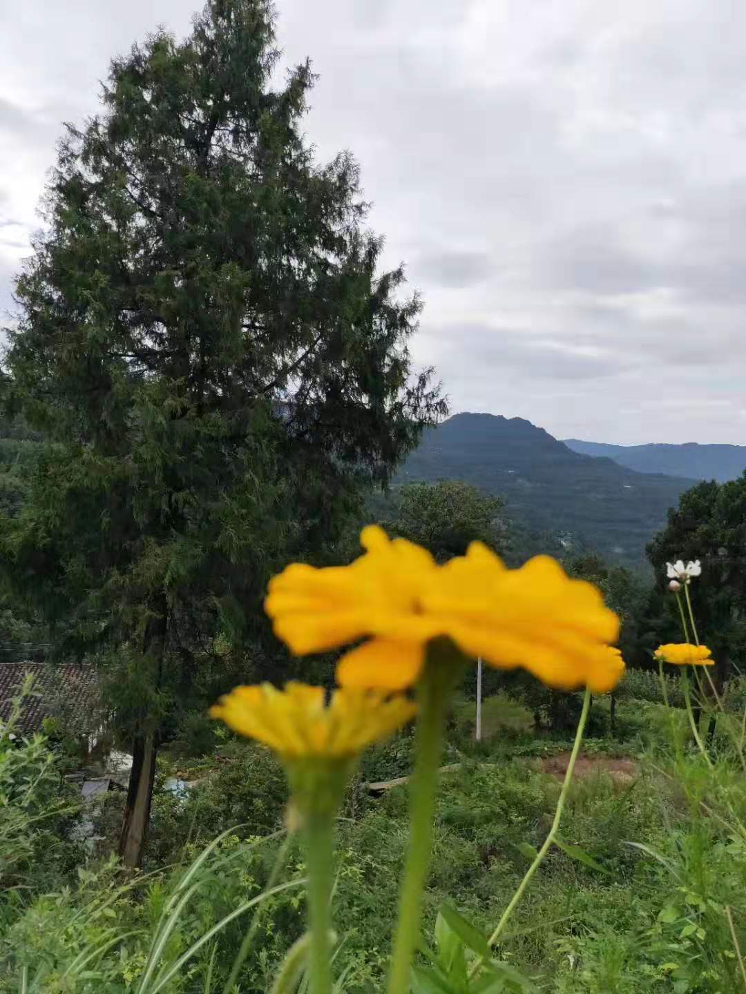 ΢ͼƬ_20190807100502.jpg