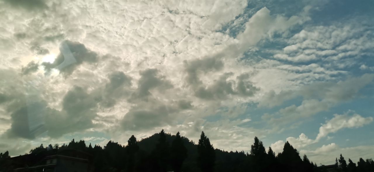 20190808_1348414_1565257240321.jpg