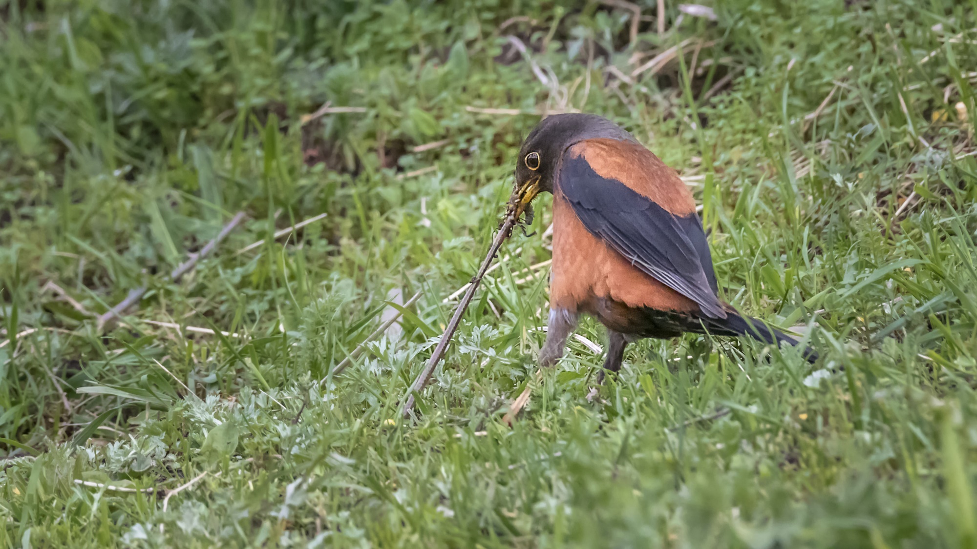 YG4A7517.jpg