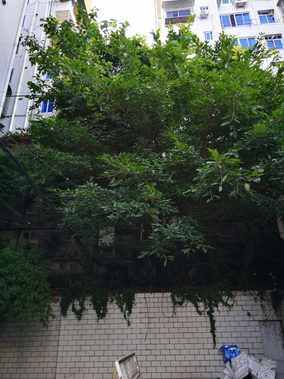 20190811_619982_1565487540948.jpg