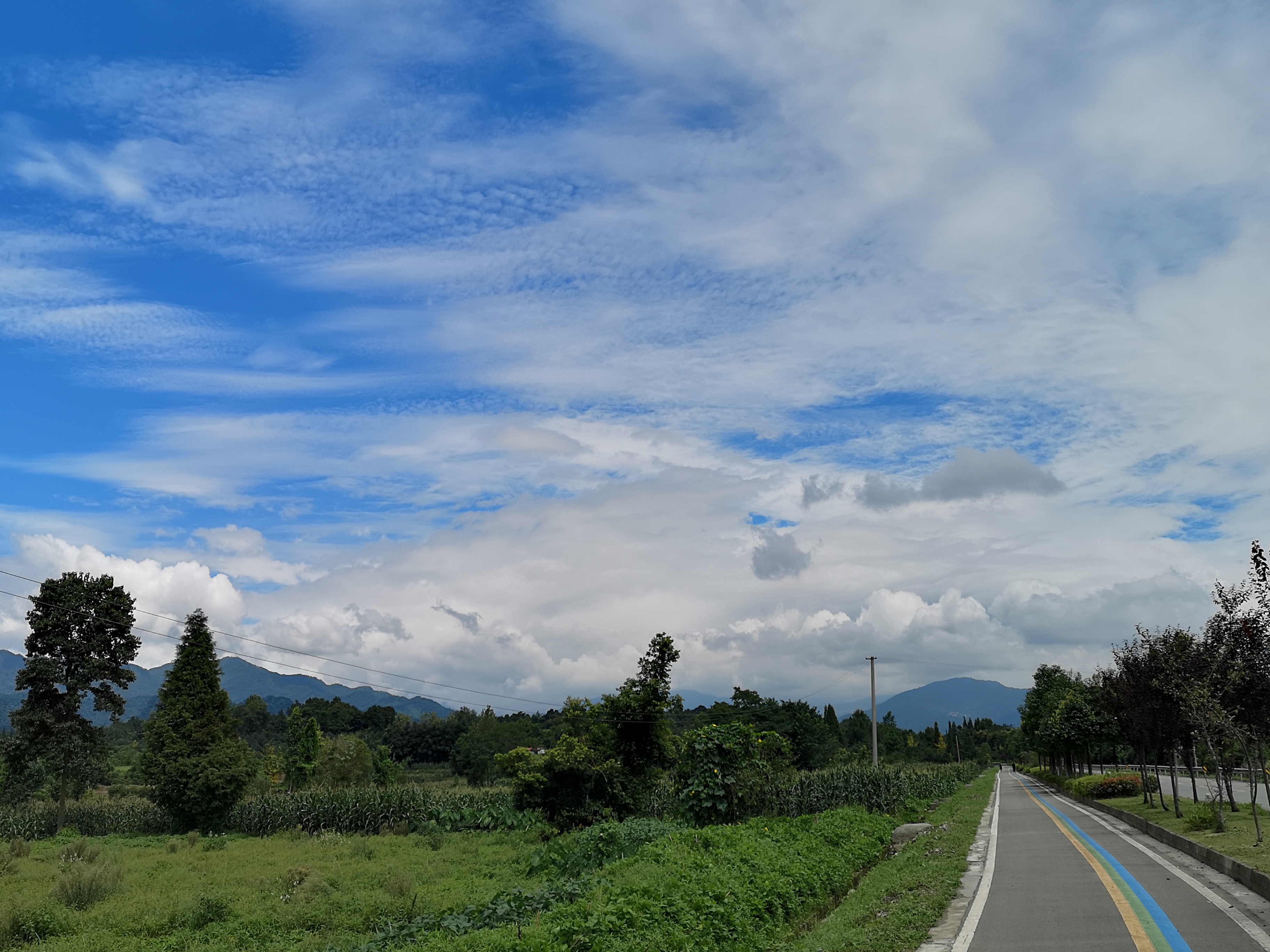 IMG_20190806_122531.jpg