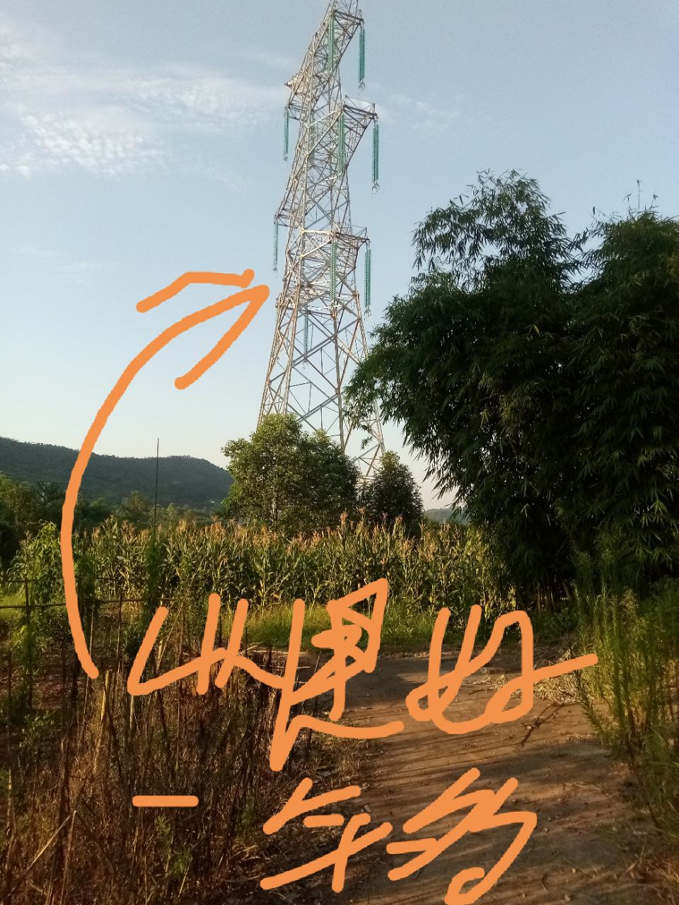 20190817_7618000_1566008218435.jpg