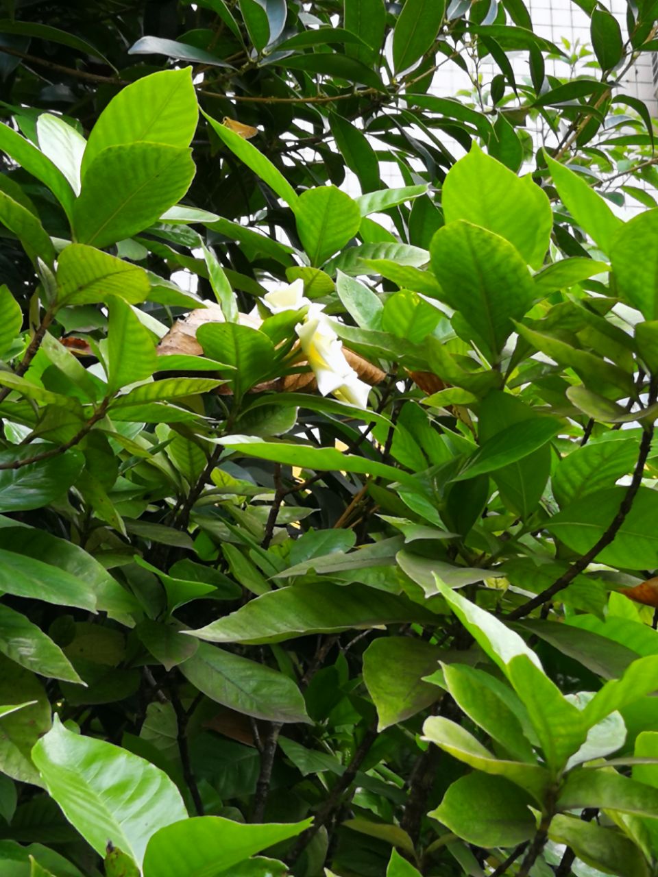 20190823_619982_1566518611748.jpg
