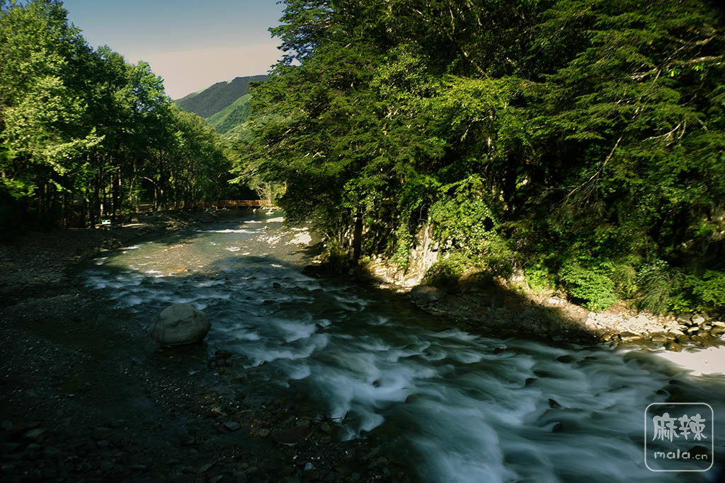 DSCF1477.jpg