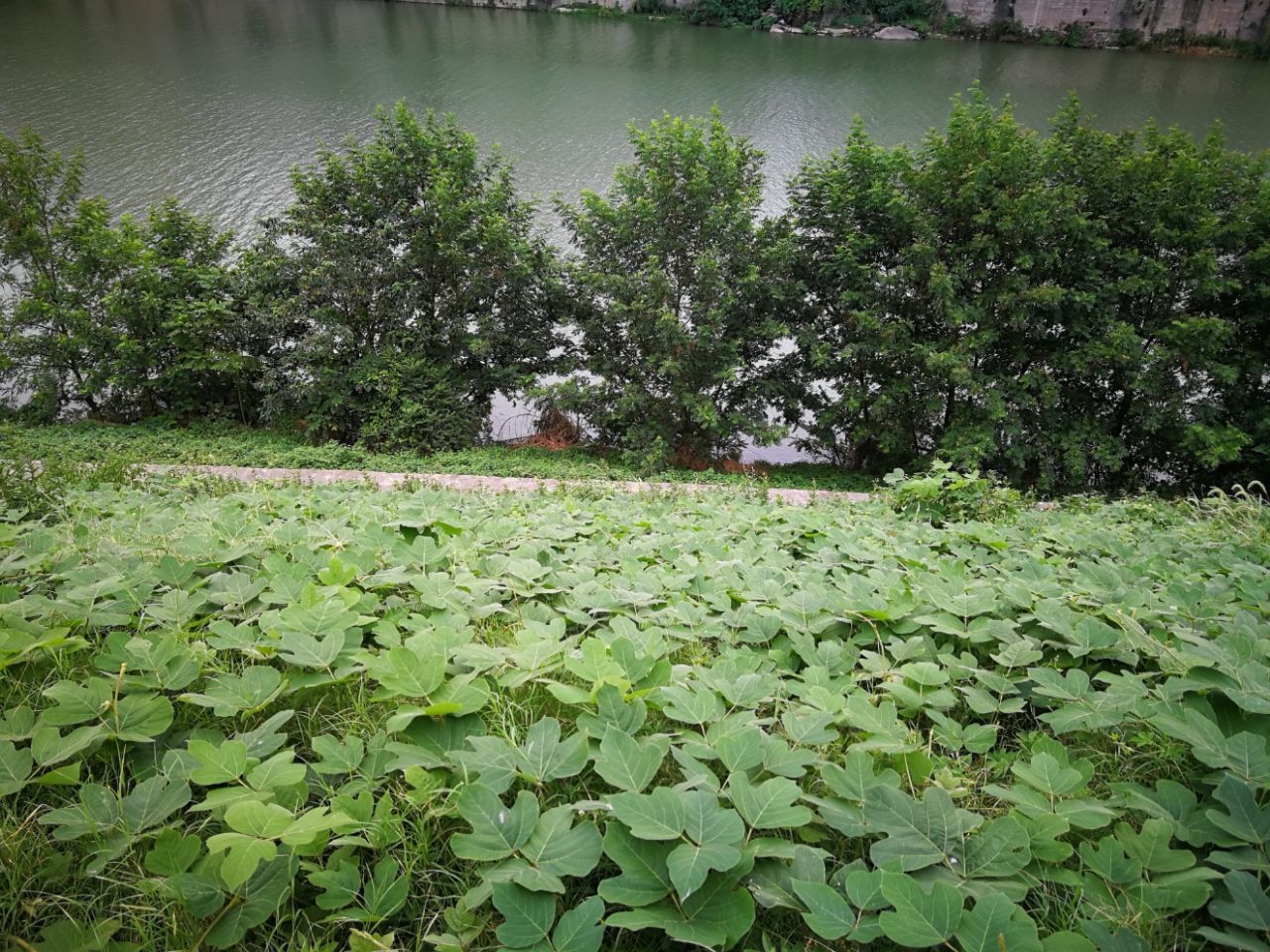 20190827_619982_1566871821649.jpg