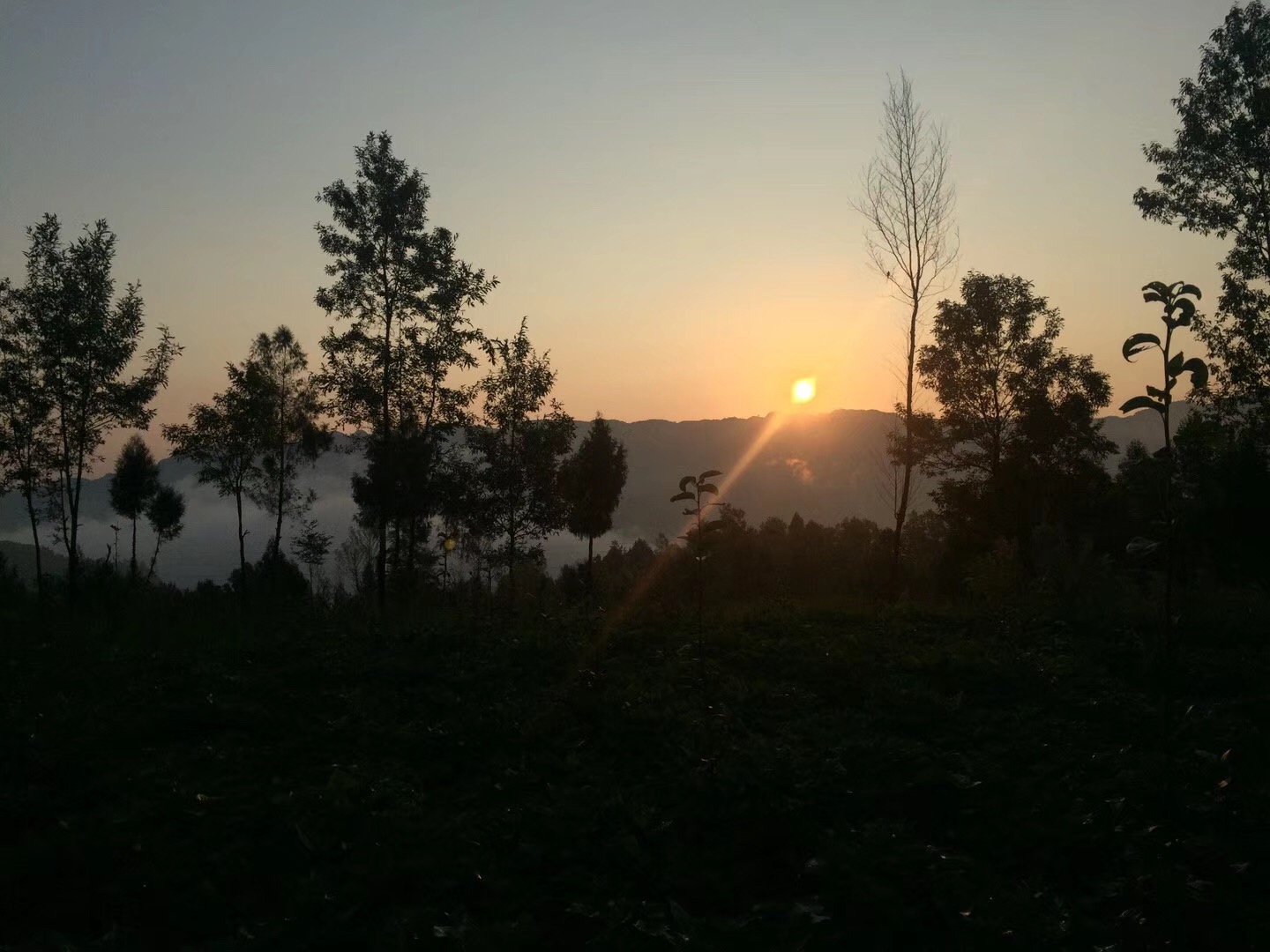 ΢ͼƬ_201909031303544.jpg