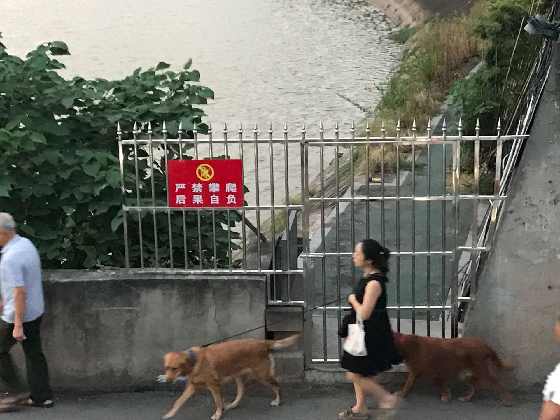 QQͼƬ20190905095536.jpg