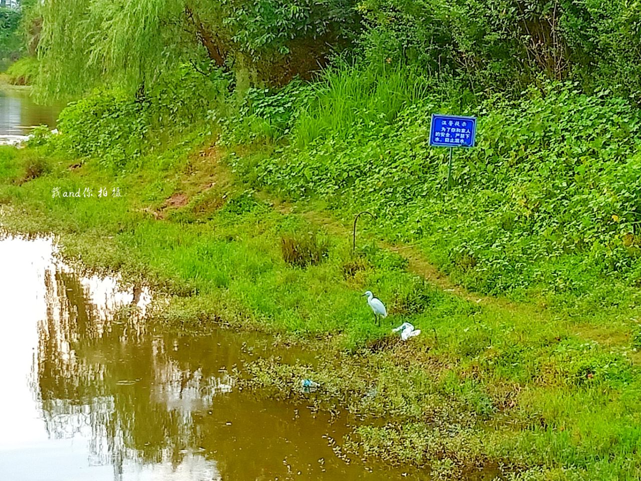 20190906_7461717_1567763658584.jpg