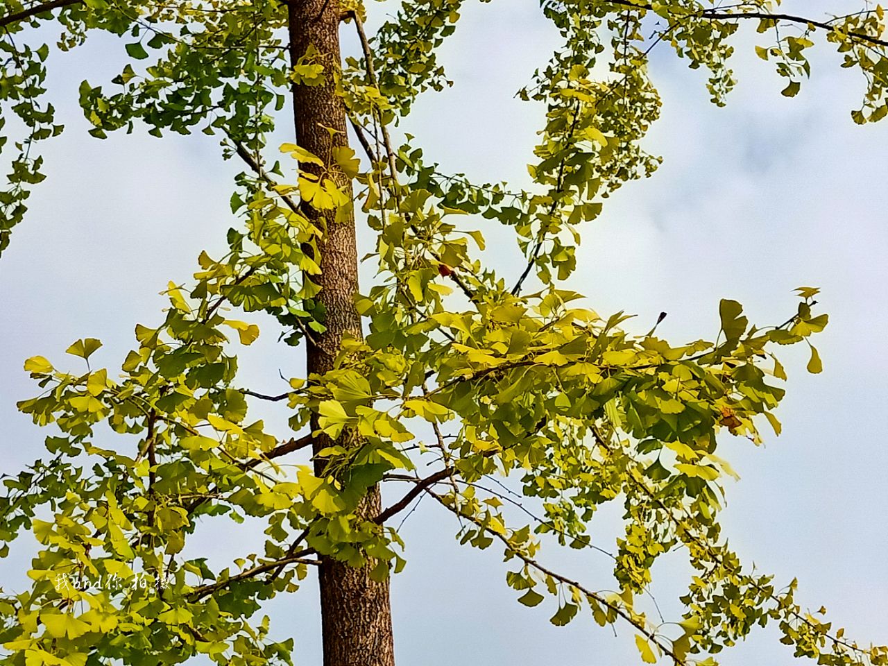20190906_7461717_1567765627013.jpg