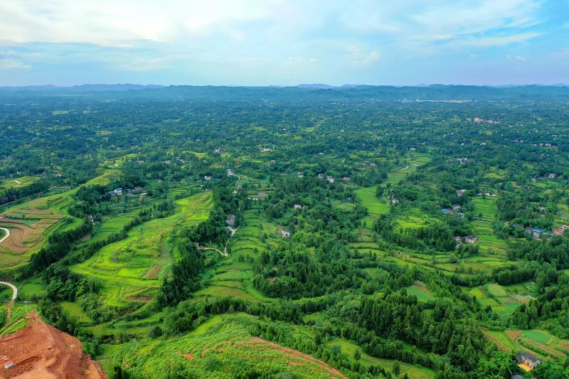 DJI_0073_dh.JPG