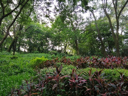 2019-09-08_08.09.18.jpg
