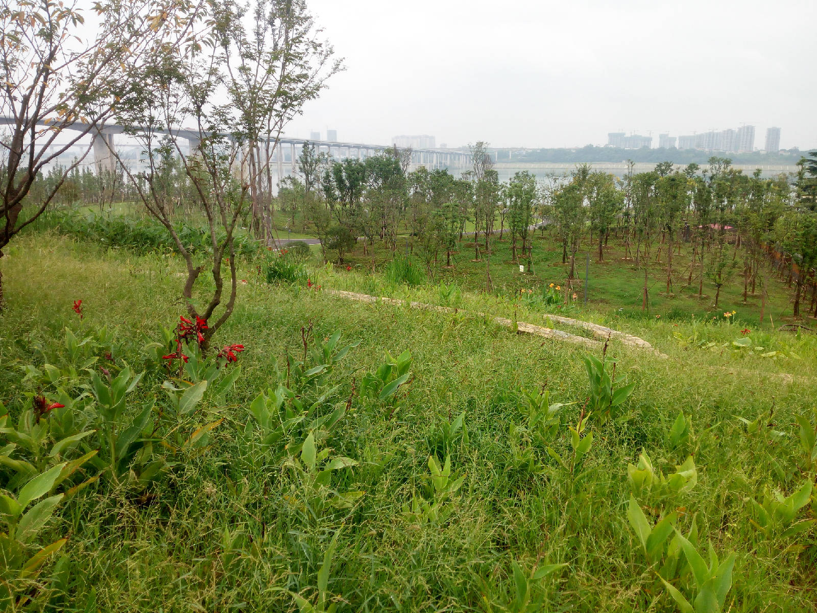 南充最美公園之一正在完善的雙女石公園