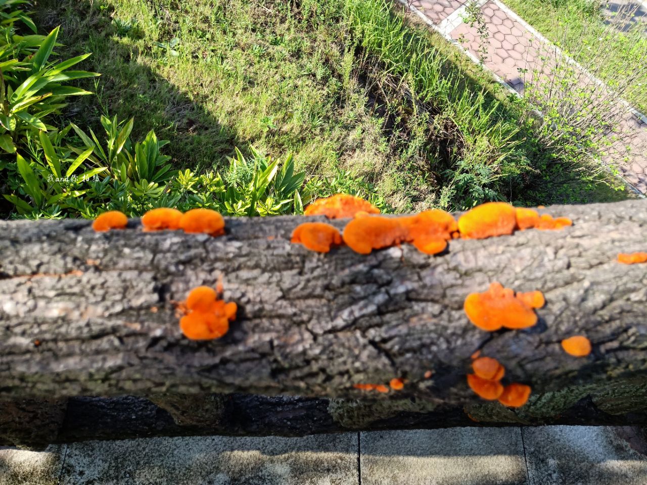 20190915_7461717_1568515019849.jpg