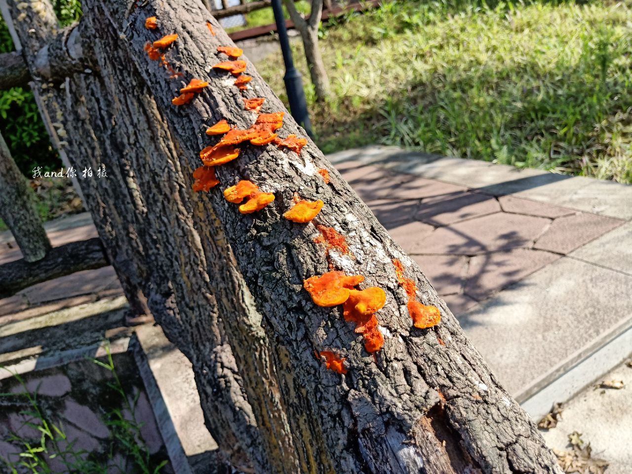 20190915_7461717_1568515242822.jpg