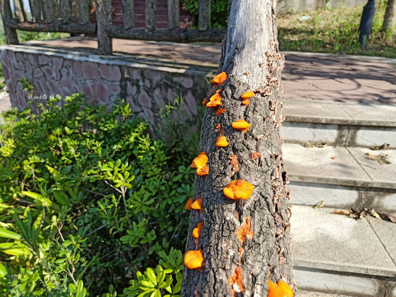 20190915_7461717_1568515358431.jpg