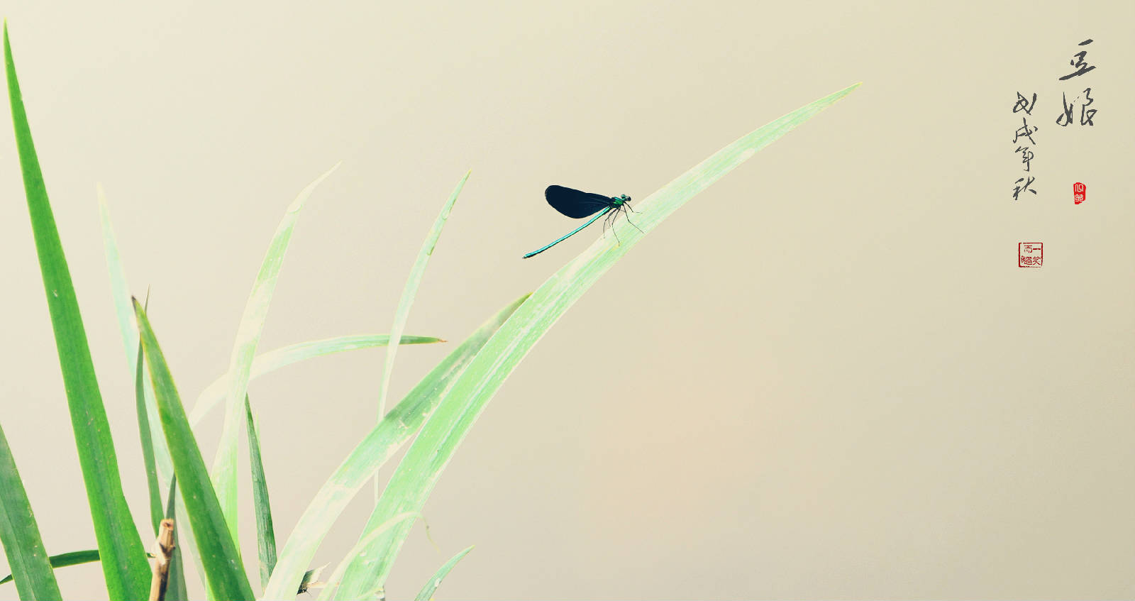 E18A6789_meitu_11_副本.jpg