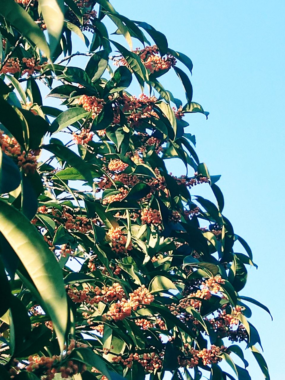 20190922_7479604_1569146402672.jpg