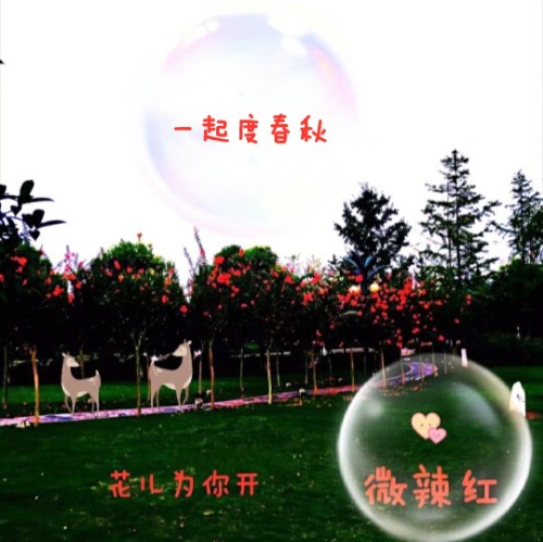 IMG_20190923_210008.jpg