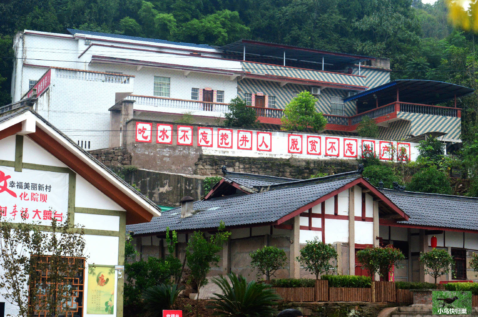DSC_0012_wps图片.JPG