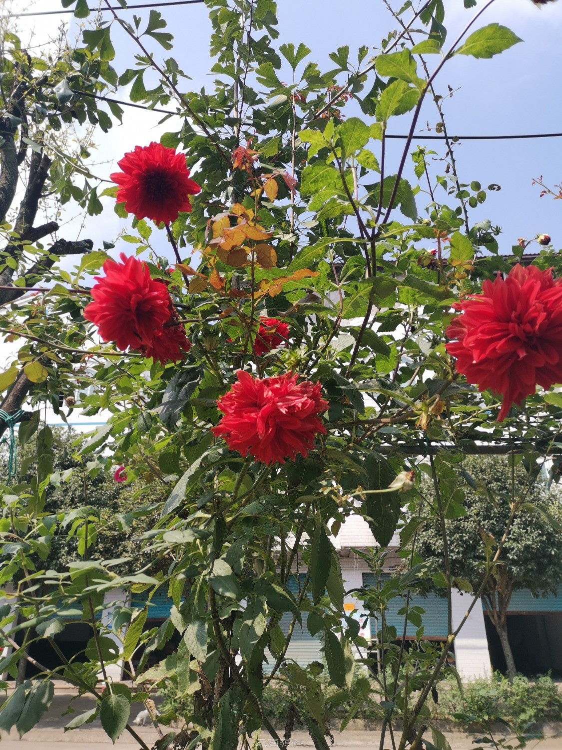 180602mh9mje0hz9hh9xj6.jpg