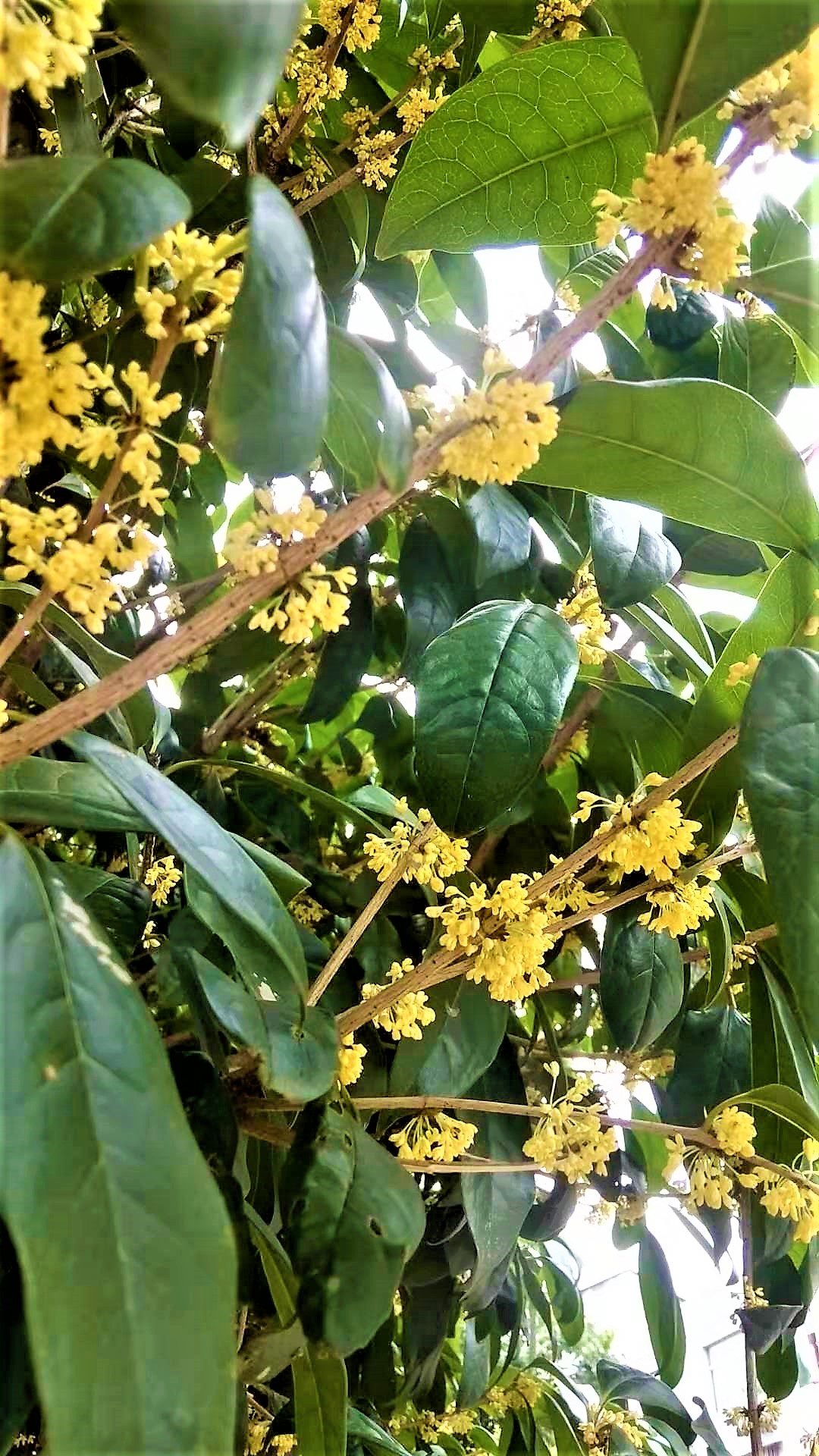΢ͼƬ_20191005220836.jpg