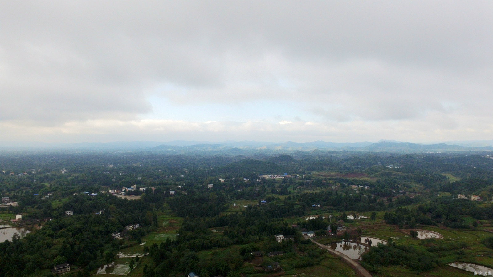 201155zde02jsjeimygsbz.jpg