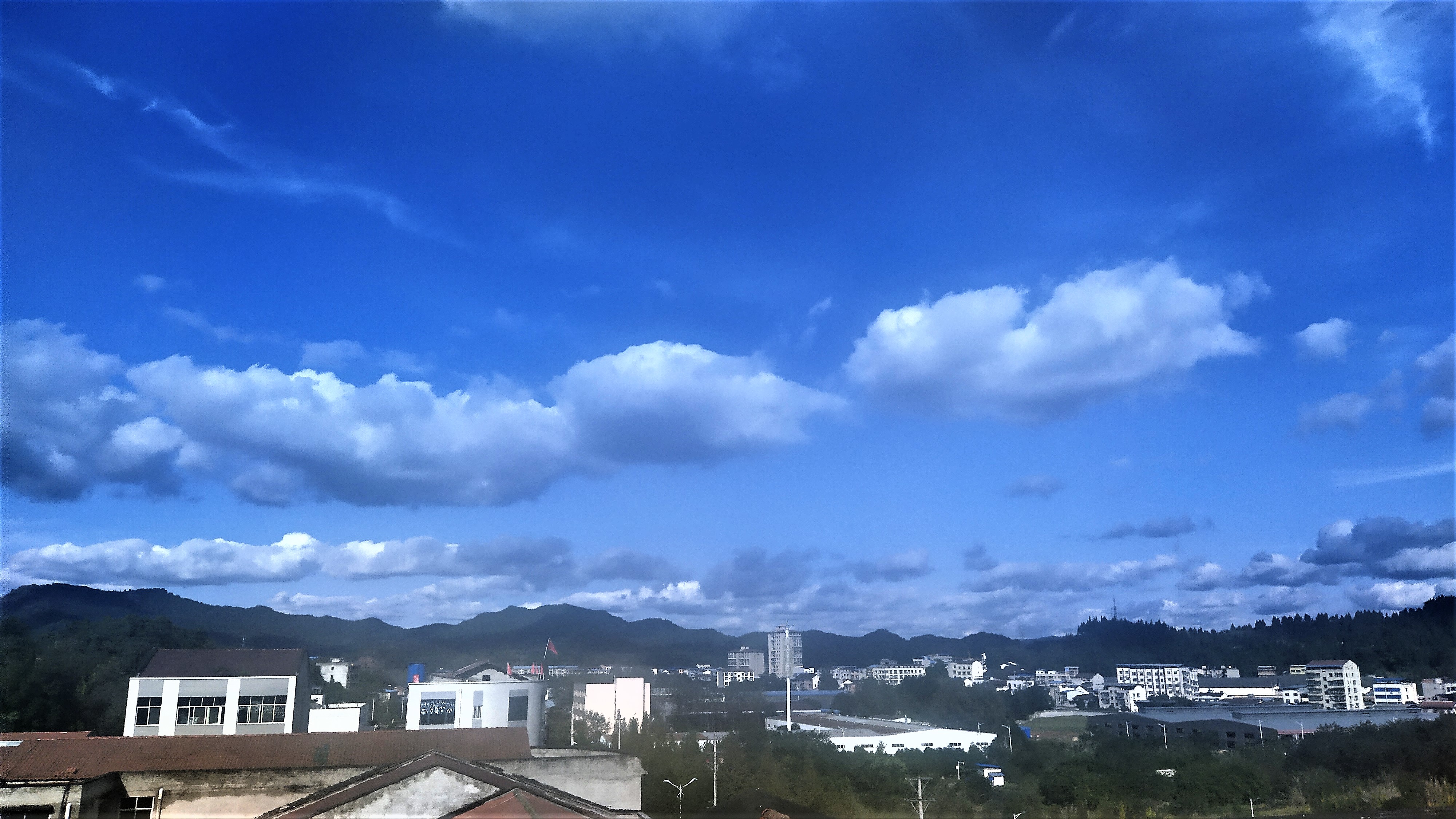IMG_20191016_155719.jpg